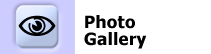 photo gallery